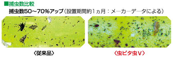 76％以上節約 送料無料 <br> 虫ピタ虫V むしピタチュー ファイブ <br> 飛来昆虫捕虫器